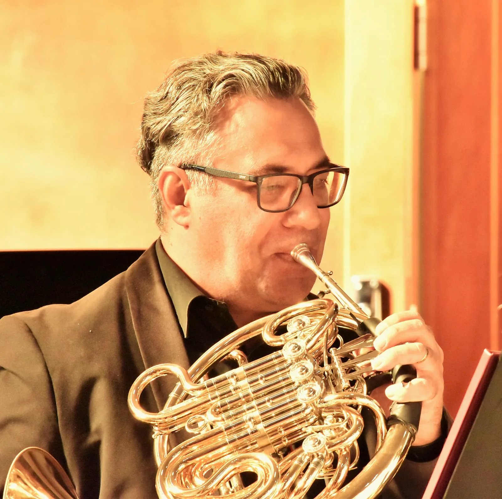 Horn player during a performance